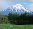 Mt. Fuji area